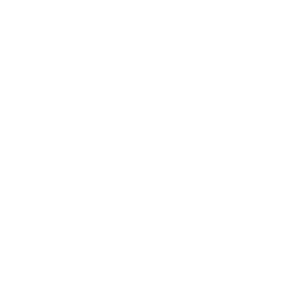 DZ9 Studio logo