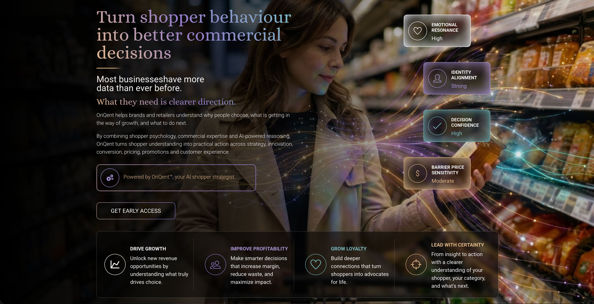 OriQent WordPress website design